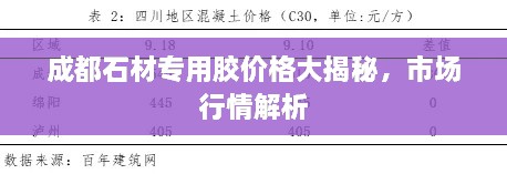 成都石材專用膠價格大揭秘，市場行情解析