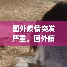 國外疫情突發(fā)嚴重，國外疫情形勢嚴峻 