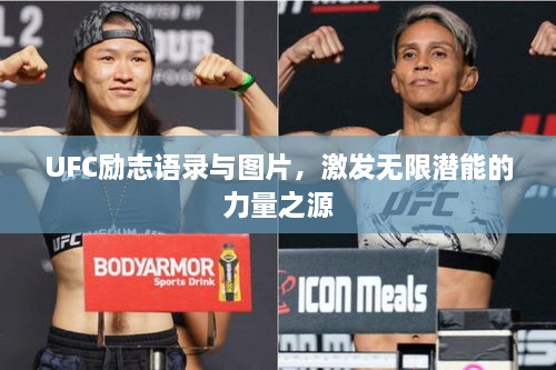 UFC勵(lì)志語錄與圖片，激發(fā)無限潛能的力量之源