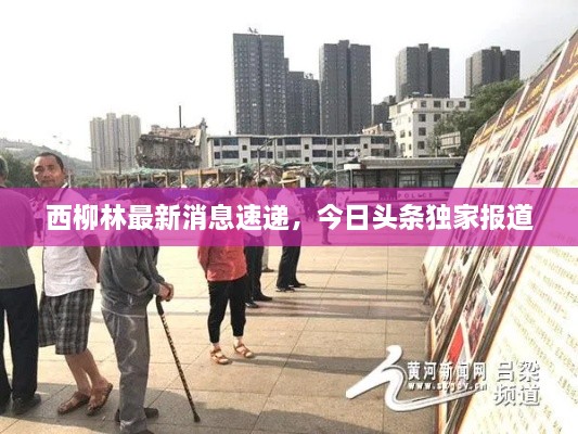 第4頁