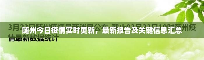 隨州今日疫情實時更新，最新報告及關鍵信息匯總