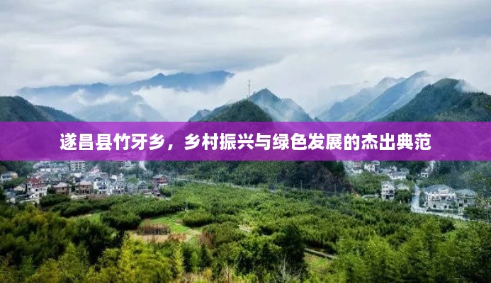 遂昌縣竹牙鄉(xiāng)，鄉(xiāng)村振興與綠色發(fā)展的杰出典范