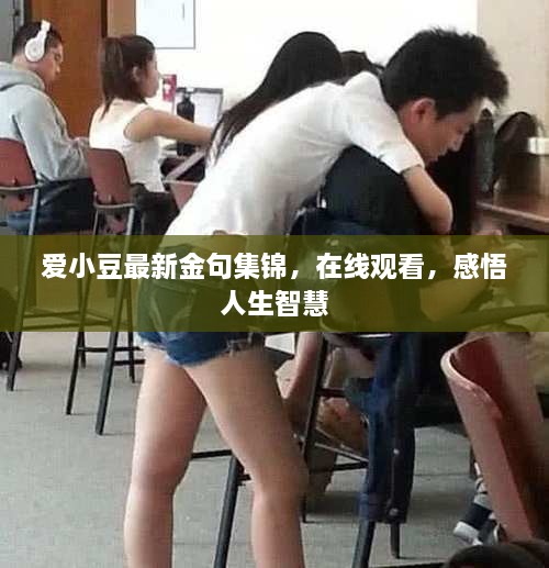 愛小豆最新金句集錦，在線觀看，感悟人生智慧