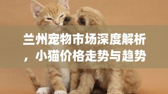 蘭州寵物市場(chǎng)深度解析，小貓價(jià)格走勢(shì)與趨勢(shì)探尋