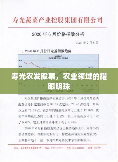 壽光農發(fā)股票，農業(yè)領域的耀眼明珠