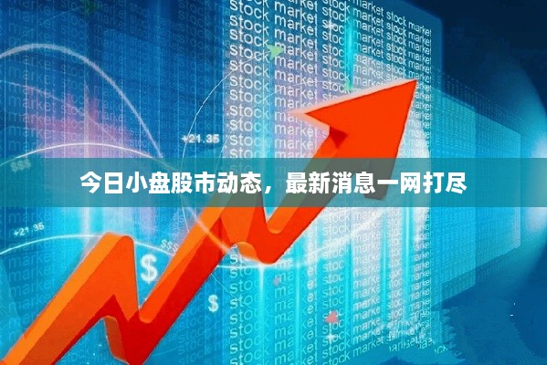 今日小盤股市動態(tài)，最新消息一網(wǎng)打盡