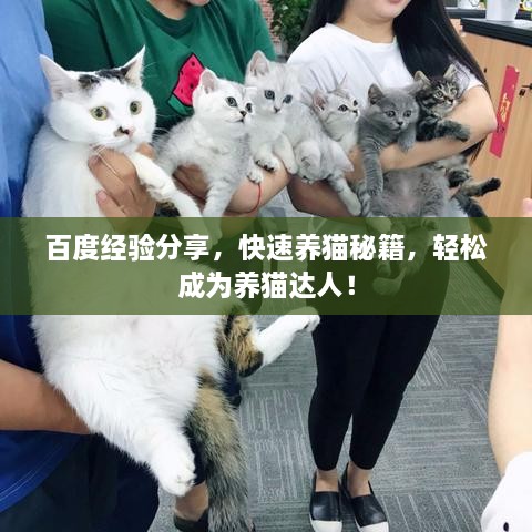 百度經(jīng)驗分享，快速養(yǎng)貓秘籍，輕松成為養(yǎng)貓達(dá)人！