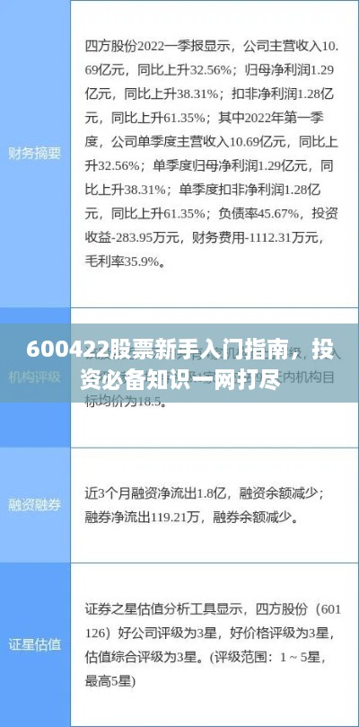 600422股票新手入門指南，投資必備知識一網(wǎng)打盡