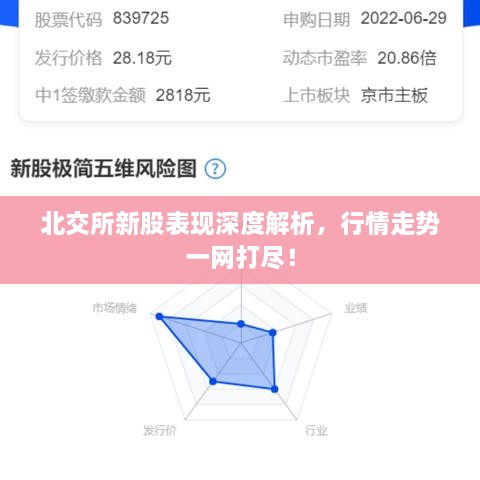 北交所新股表現(xiàn)深度解析，行情走勢(shì)一網(wǎng)打盡！