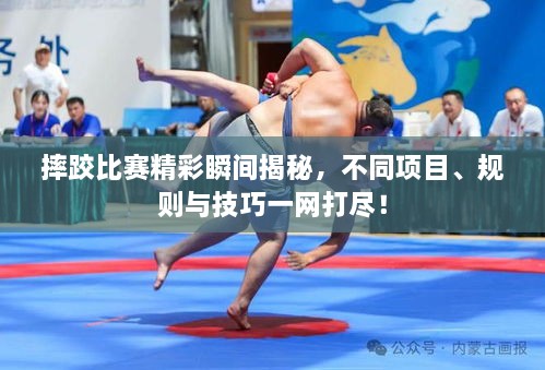 摔跤比賽精彩瞬間揭秘，不同項(xiàng)目、規(guī)則與技巧一網(wǎng)打盡！