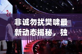 非誠勿擾樊嘯最新動態(tài)揭秘，獨家爆料吸引眼球！