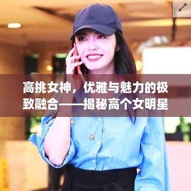 高挑女神，優(yōu)雅與魅力的極致融合——揭秘高個女明星的魅力風(fēng)采